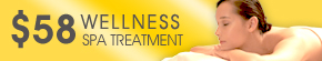 $58 Wellness Spa Treatment